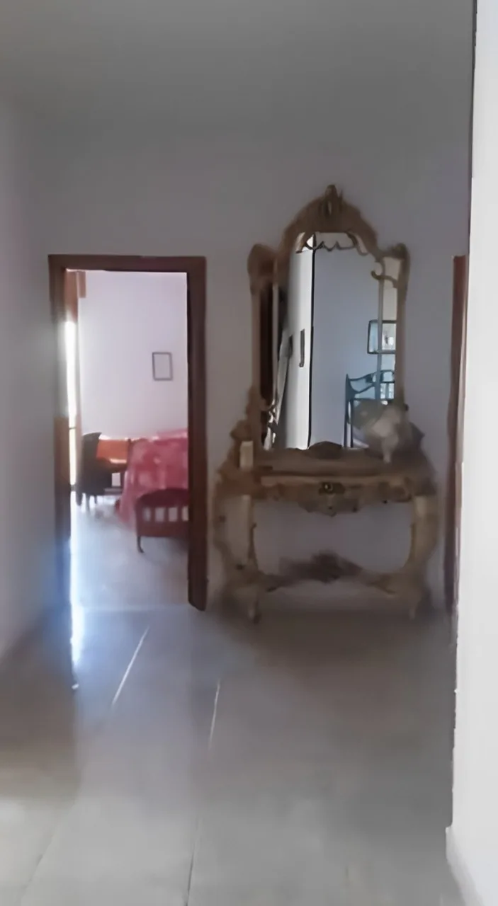 Hallway before the works, with stylish mirror and passage towards the living room