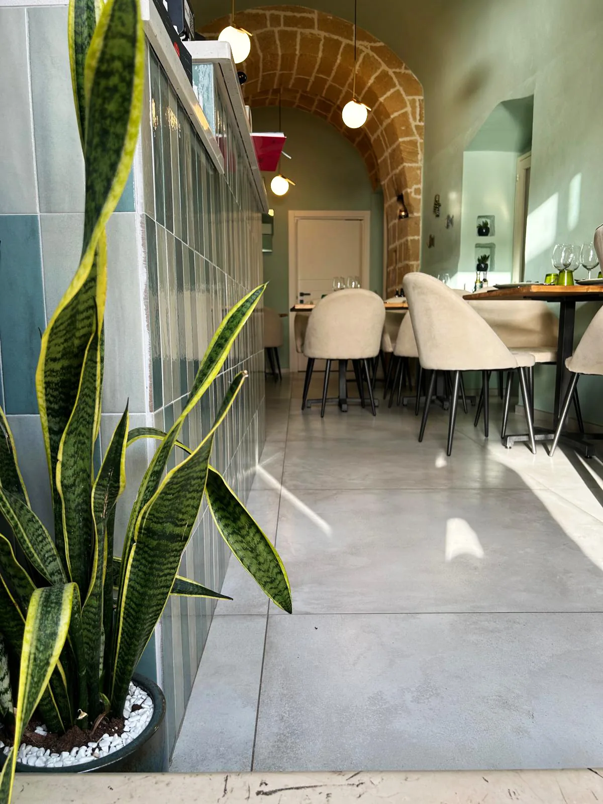 View of the room from the back, with the plants filtering the view